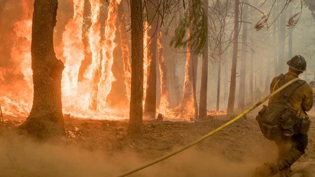 Kaliforniya tarihinin en büyük yangınında neler oluyor