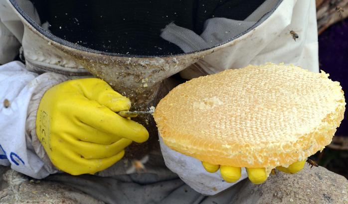 Etrafı çamurla sıvanıyor Kilosu 350 lira Etrafı çamurla sıvanıyor Kilosu 350 lira