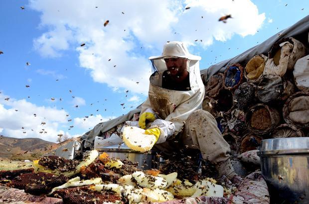 BİRÇOK ÜLKEYE GÖNDERİYORUZ BİRÇOK ÜLKEYE GÖNDERİYORUZ