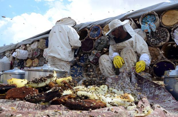 Etrafı çamurla sıvanıyor Kilosu 350 lira Etrafı çamurla sıvanıyor Kilosu 350 lira