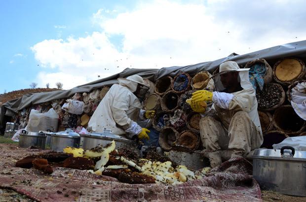 Etrafı çamurla sıvanıyor Kilosu 350 lira Etrafı çamurla sıvanıyor Kilosu 350 lira