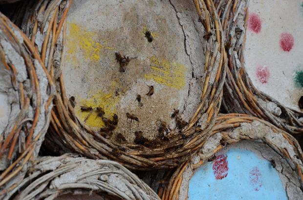 KEKİĞİN BOL OLDUĞU YERLERE KOVANLARI ÇIKARIYORUZ KEKİĞİN BOL OLDUĞU YERLERE KOVANLARI ÇIKARIYORUZ