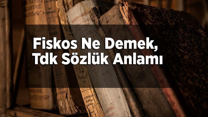 Fiskos Ne Demek Fiskos Ne Demek
