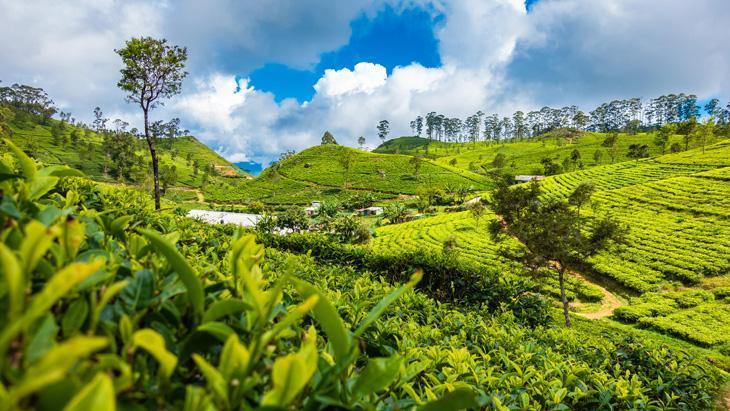 Türkiye bu ülkeleri geride bıraktı Dünyanın en güçlü pasaportları belli oldu