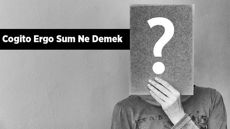 cogito-ergo-sum-ne-demek-nas-l-yorumlan-r-cogito-ergo-sum-kimin-s-z