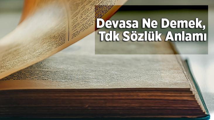 devasa-ne-demek-tdk-s-zl-k-anlam-nedir-devasa-boyut-ne-demek