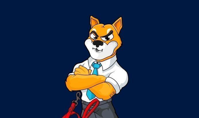 SHİBA INU COİN NEDİR