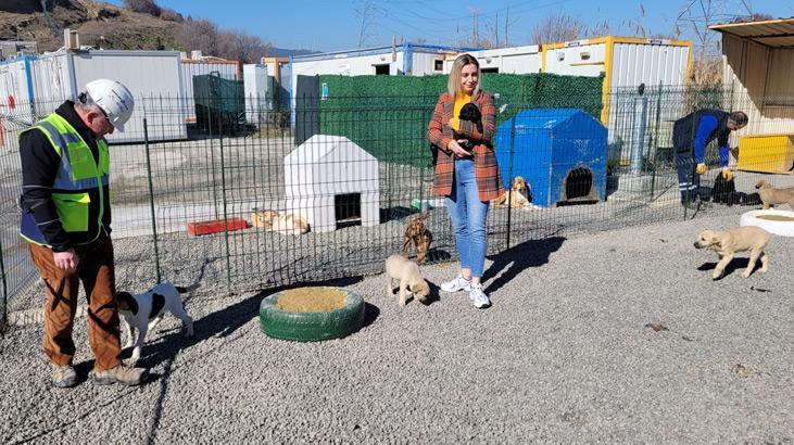 HAYVAN DOSTU KÖPRÜ