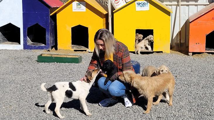 1915 Çanakkale Köprüsüne can dostlar için barınak