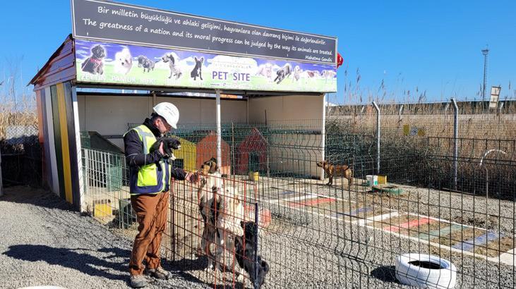 1915 Çanakkale Köprüsüne can dostlar için barınak