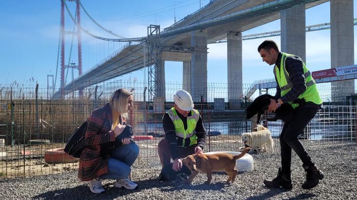 KALAN YEMEKLERLE BESLENİYORLAR