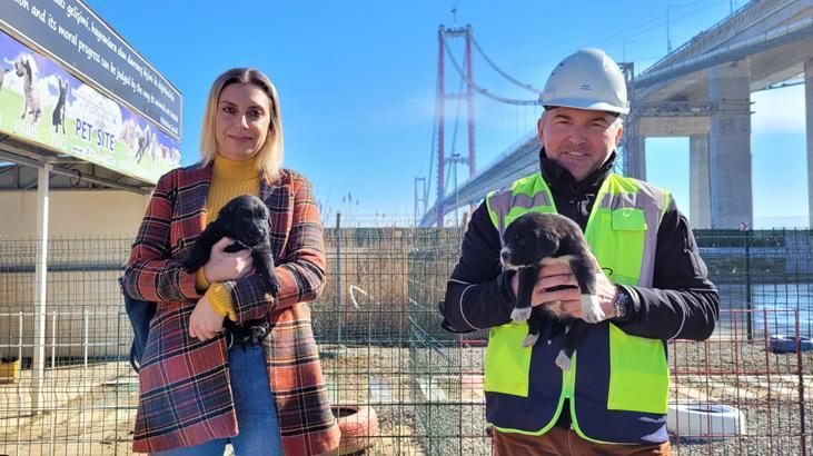 1915 Çanakkale Köprüsüne can dostlar için barınak