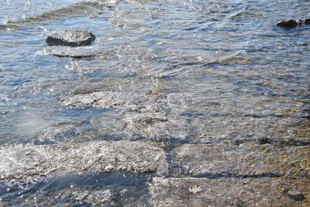 Bodrumda deniz çekildi, kral yolu gün yüzüne çıktı