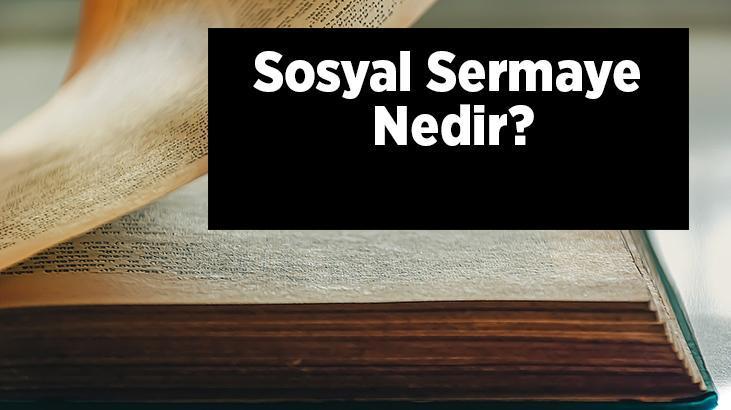 Sosyal Sermaye Nedir, Unsurları Nelerdir? Sosyal Sermaye Örnekleri ...