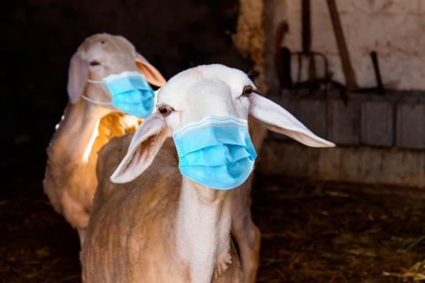 GEREKLİ ÖNLEMLER ALINACAK