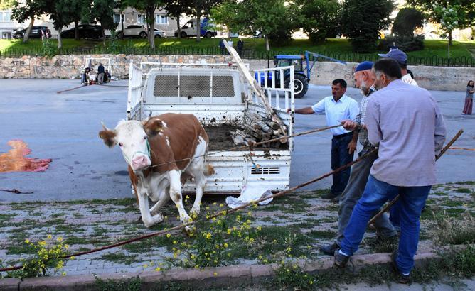 Acemi kasaplar hastaneye koştu