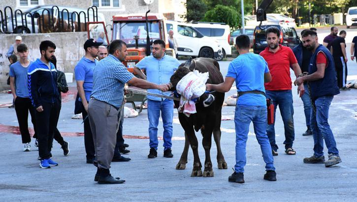 Acemi kasaplar hastaneye koştu