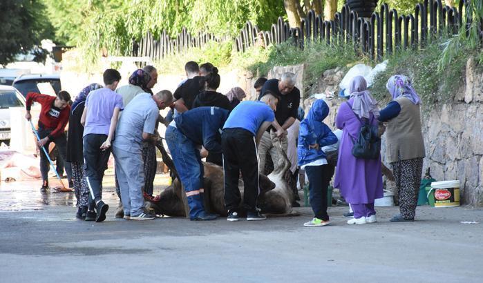 Acemi kasaplar hastaneye koştu
