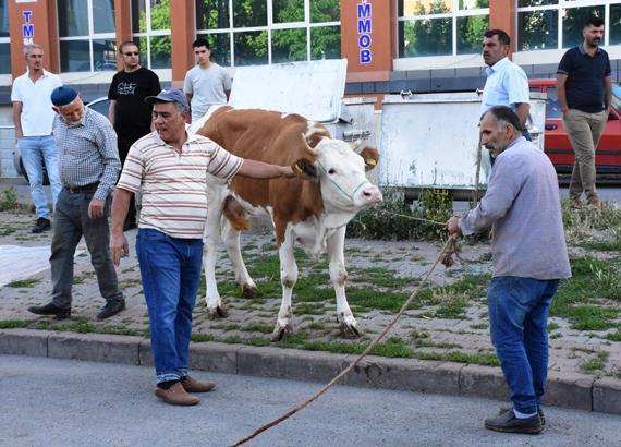 Acemi kasaplar hastaneye koştu