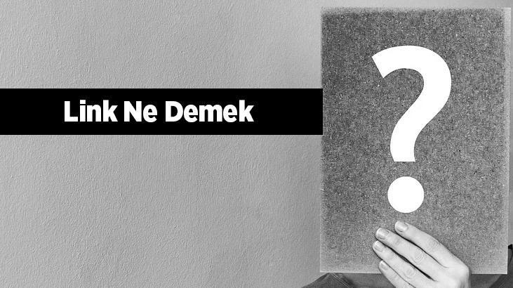 link atmak nedir