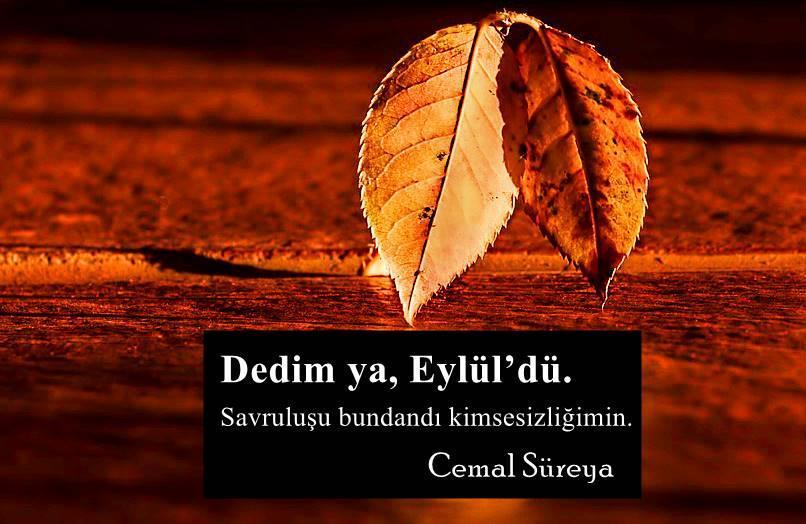 Eylül sözleri 2026 | Resimli - Yazılı Eylül ayı sözleri - mesajları kısa - uzun seçenekler