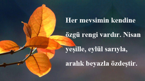 Eylül sözleri 2026 | Resimli - Yazılı Eylül ayı sözleri - mesajları kısa - uzun seçenekler