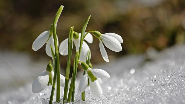 CEMRE DÜŞMESİNİN TÜRK KÜLTÜRÜNDE YERİ CEMRE DÜŞMESİNİN TÜRK KÜLTÜRÜNDE YERİ