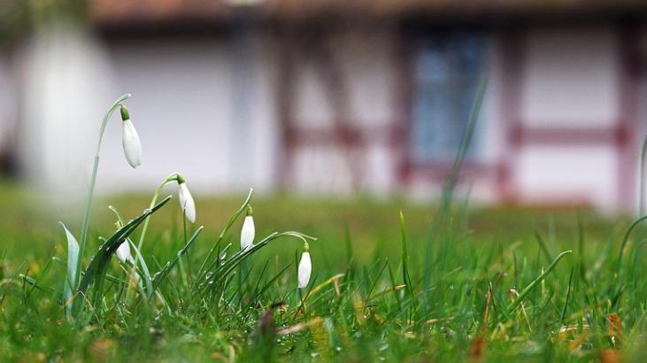 CEMRE DÜŞME TARİHLERİ 2023