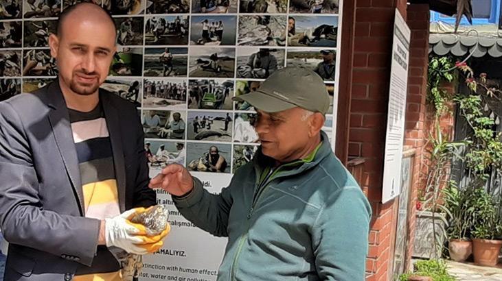 Kuşadası’nda 1 baykuş ölü, 2 atmaca yaralı olarak bulundu