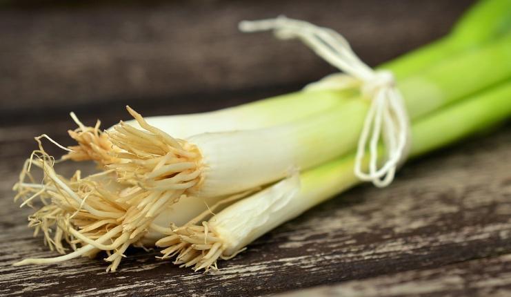 Rüyada Yeşil Soğan Toplamak Ne Anlama Gelir? Ne Demek, Neye Yorumlanır