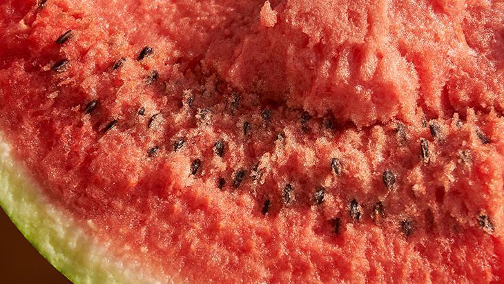 Bir parça karpuzu suya koyun, pembe çıkarsa yemeyin Zehir detayı şaşırtıyor