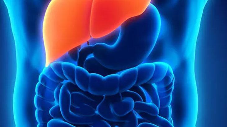 Yağlı Balık Tüketimi Karaciğer Sağlığı İçin Önemli