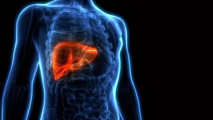 Karaciğer Dostu Sarımsak