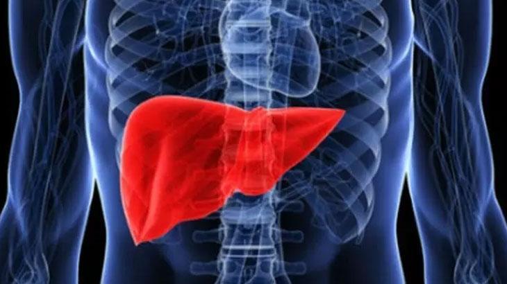 Güçlü Bir Karaciğere Sahip Olmak İçin Yemeniz Gereken Besinler