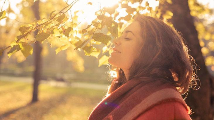 Bilinçaltı çalışmaları Bilinçaltı çalışmaları