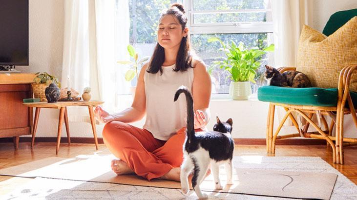 Aşk acısı çekmeye elveda Uzmanları anlattı, kötü anıları hafızadan silip atıyor Aşk acısı çekmeye elveda Uzmanları anlattı, kötü anıları hafızadan silip atıyor