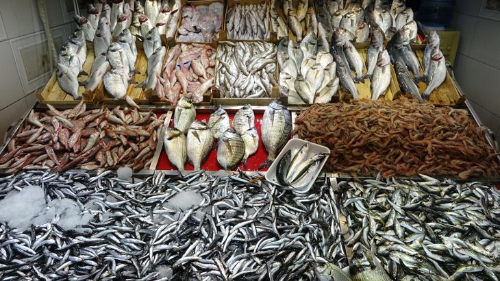 Balık bolluğuyla birlikte fiyatlar da düştü – Son Haberler