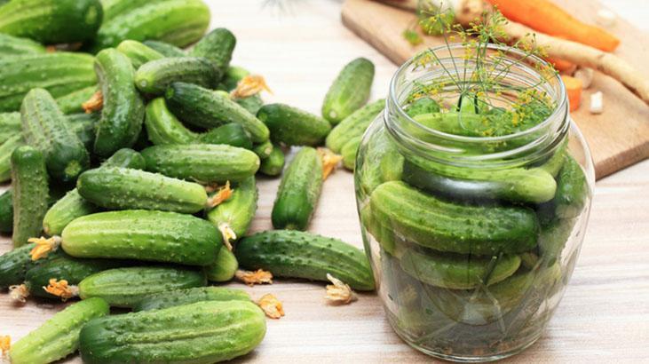 Sadece 1 avuç koyunca çıtır çıtır oluyor Bu tarif sayesinde 5 gün içinde turşunuz hazır