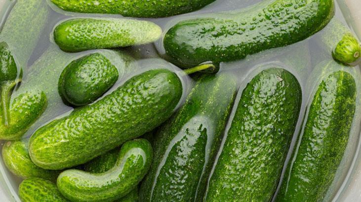 Sadece 1 avuç koyunca çıtır çıtır oluyor Bu tarif sayesinde 5 gün içinde turşunuz hazır