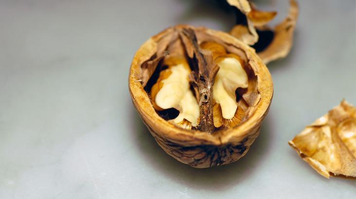 5- Beyin sağlığı üzerinde etkilidir