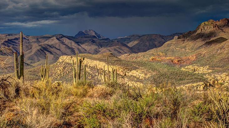 3- Güneş ışığı 3- Güneş ışığı