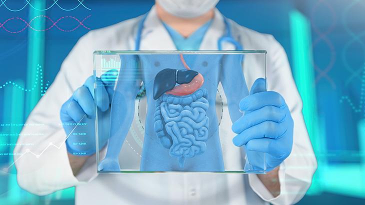 METABOLİZMANIZI STABİLİZE EDER METABOLİZMANIZI STABİLİZE EDER