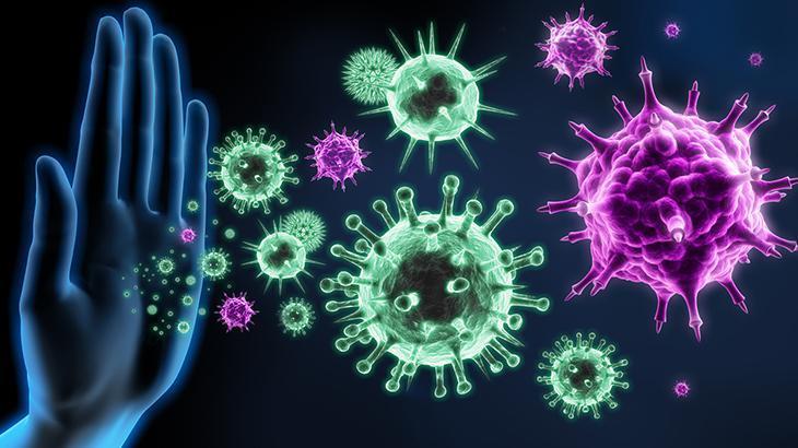 BAĞIŞIKLIK SİSTEMİNİZİ GÜÇLENDİRİR BAĞIŞIKLIK SİSTEMİNİZİ GÜÇLENDİRİR