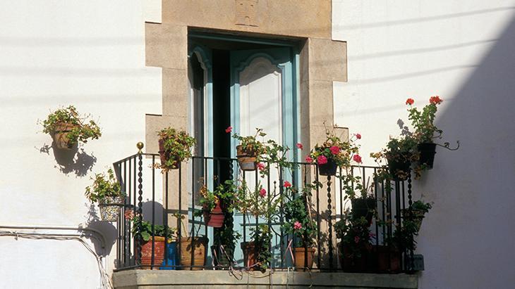 PENCERE VE BALKONDA SAKSI RİSKİ