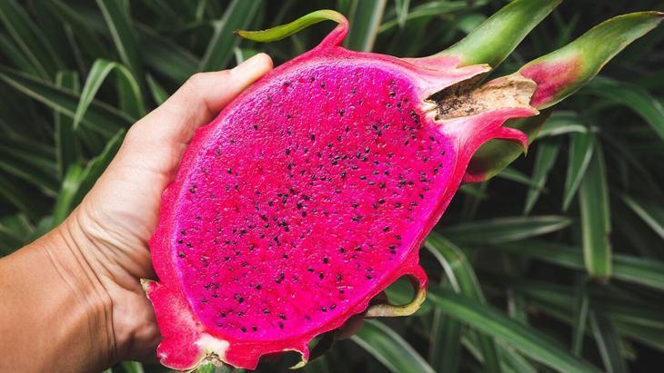 Türkiyede faydasını duyan çok az kişi var 1 tane yiyen tüm kış hastalık nedir bilmiyor