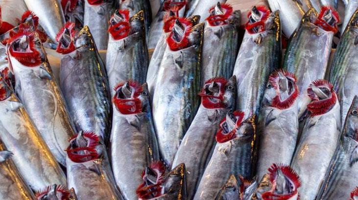 Aralık ayında hangi balığı yiyelim Vitamini çok yüksek, yiyeni kalkan gibi koruyor