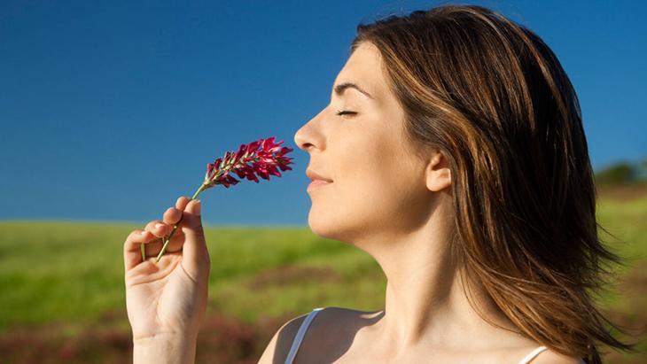 KOKULAR GEÇMİŞİNİZİN İZLERİ