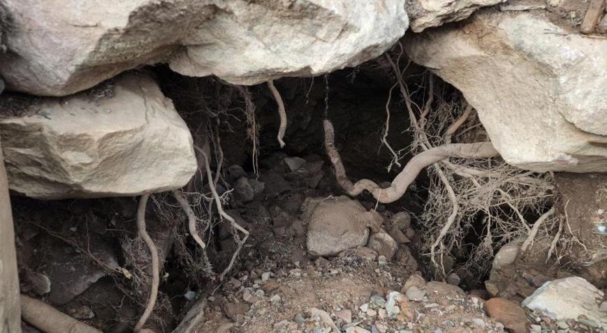 Deprem bölgesinde tedirgin eden görüntü Obrukların içerisinden çıkıyor Deprem bölgesinde tedirgin eden görüntü Obrukların içerisinden çıkıyor