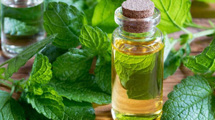 Hürrem Sultanın güzellik sırrı buymuş 1 damlası bile cildi kusursuz, lekesiz yapıyor Hürrem Sultanın güzellik sırrı buymuş 1 damlası bile cildi kusursuz, lekesiz yapıyor