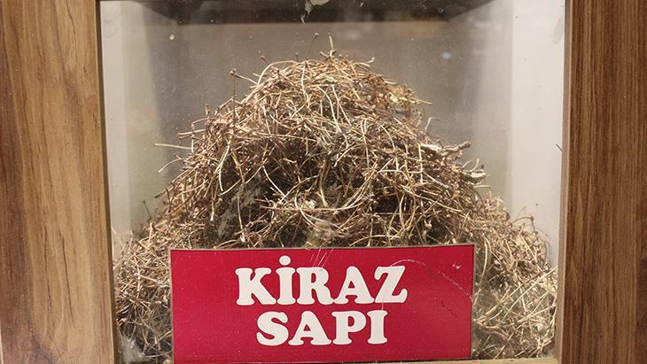 NASIL YAPILIYOR, NE ZAMAN İÇİLİYOR
